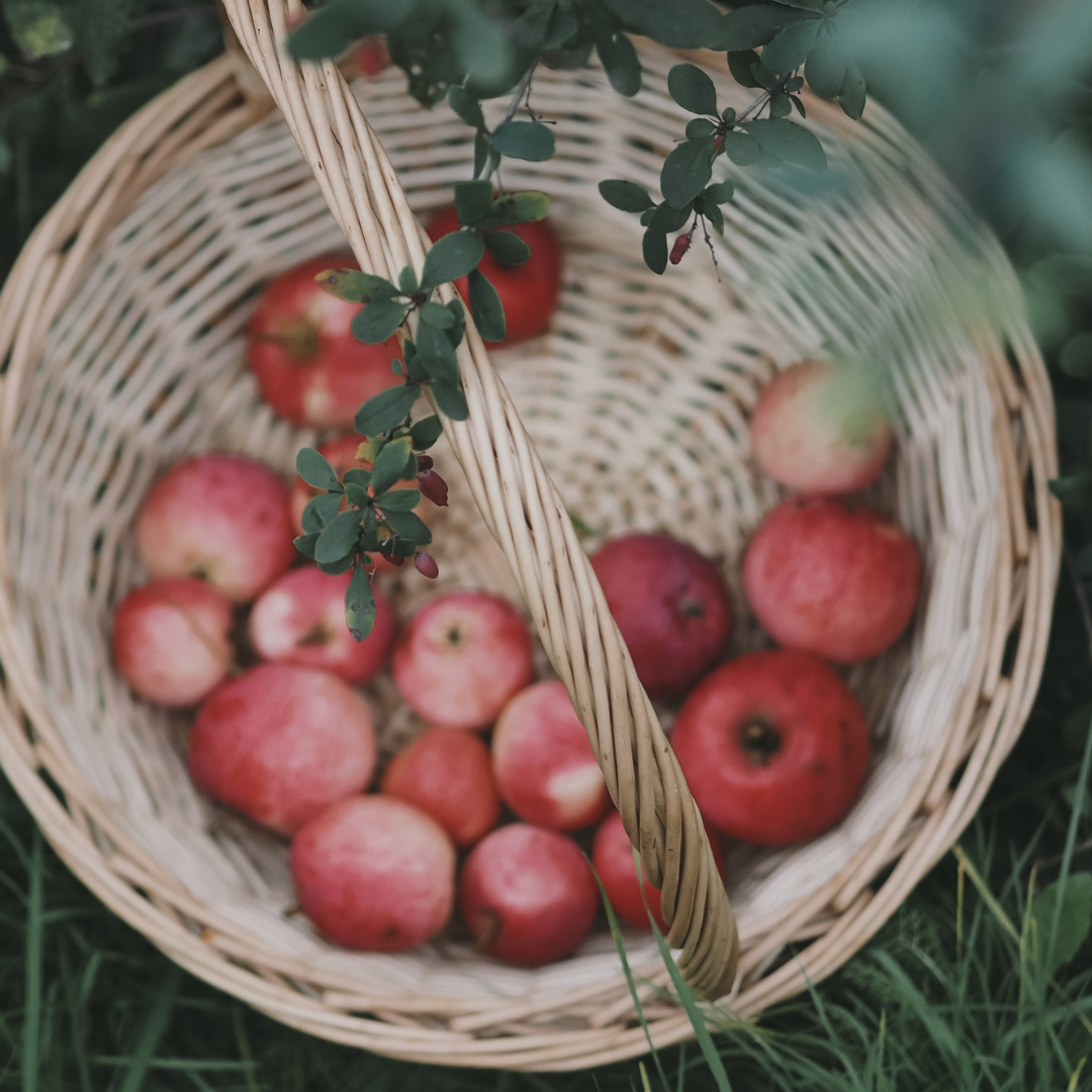 Bougie Pommes & Épices | Délice d’automne